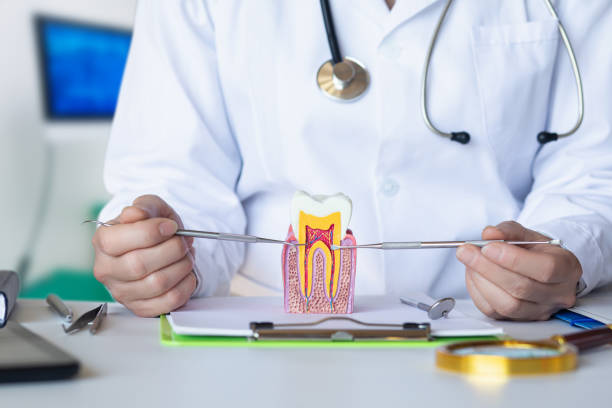 Best Walk-In Emergency Dental Services in Riverview, MI